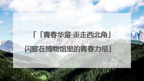 「青春华章·重走西北角」闪耀在博物馆里的青春力量